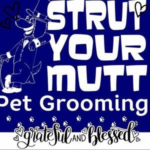 Meet your Posher, Kevin